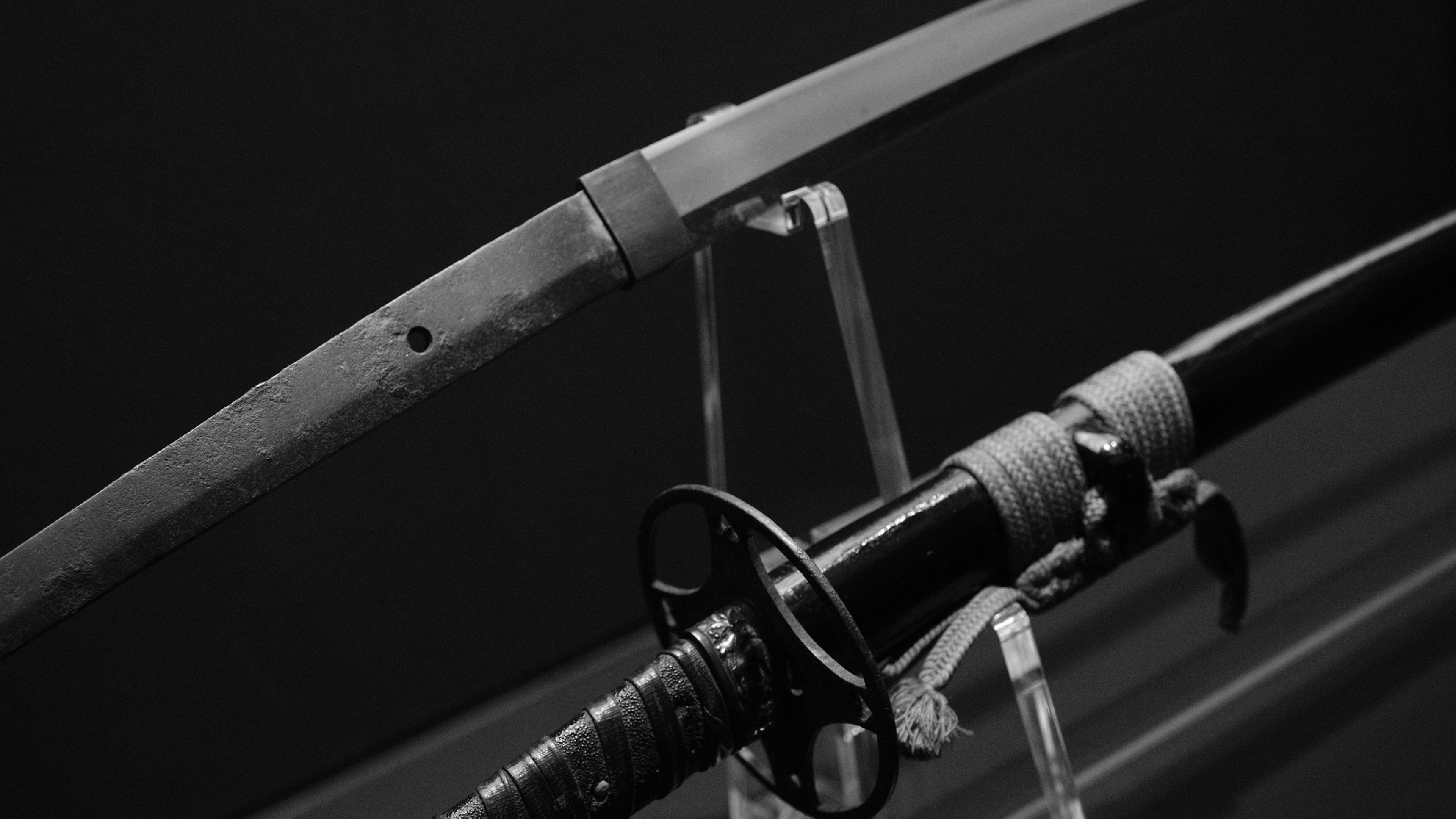 Image by Seiya Maeda